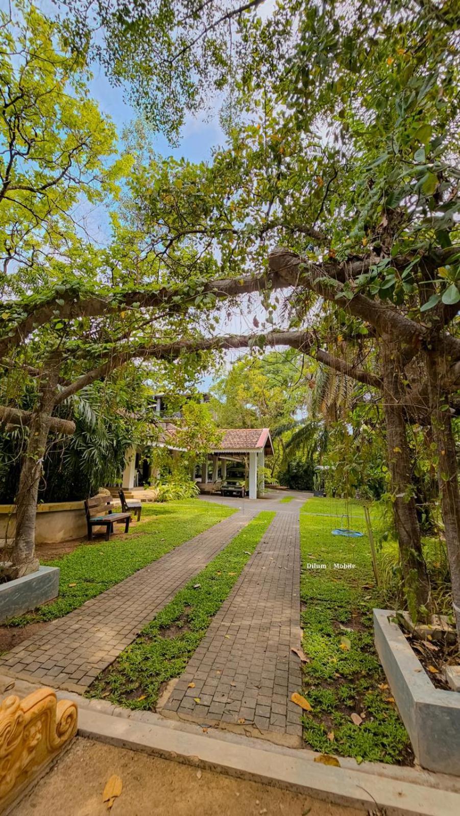 Ceylon Kingsmen Garden Hotel - Katunayake Negombo Exterior photo